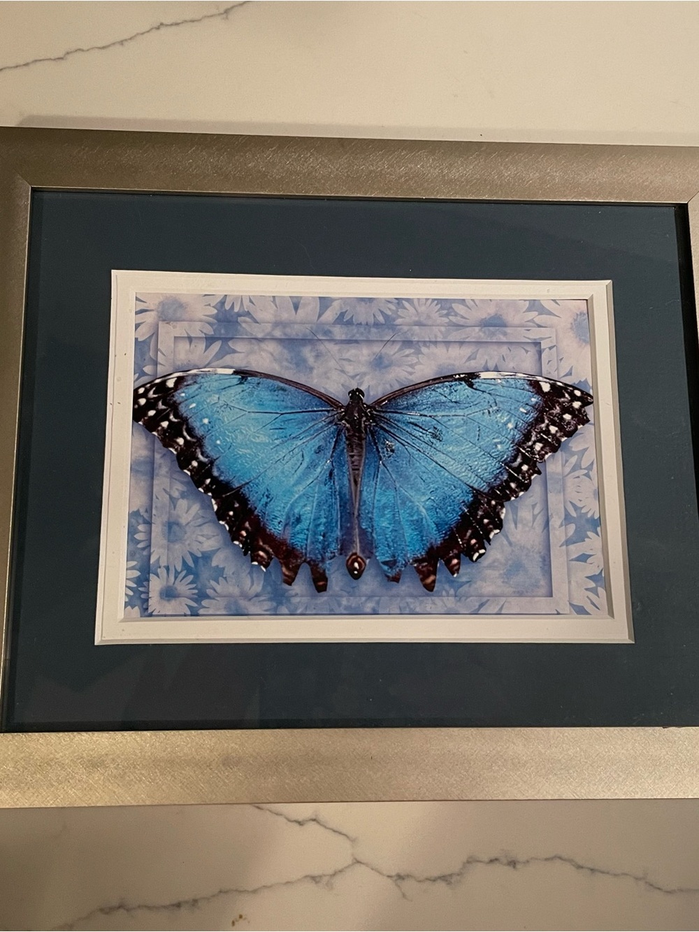Blue Butterfly Wall Art Print - in Silver Metal Frame